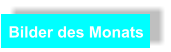 Bilder des Monats