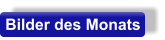 Bilder des Monats